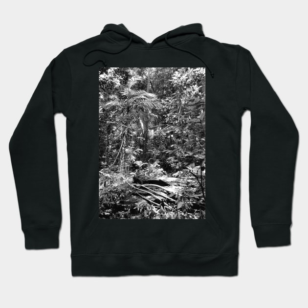 Vintage photo of Amazon Rainforest Hoodie by In Memory of Jerry Frank